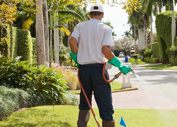 About Scammon KS Pest Control
